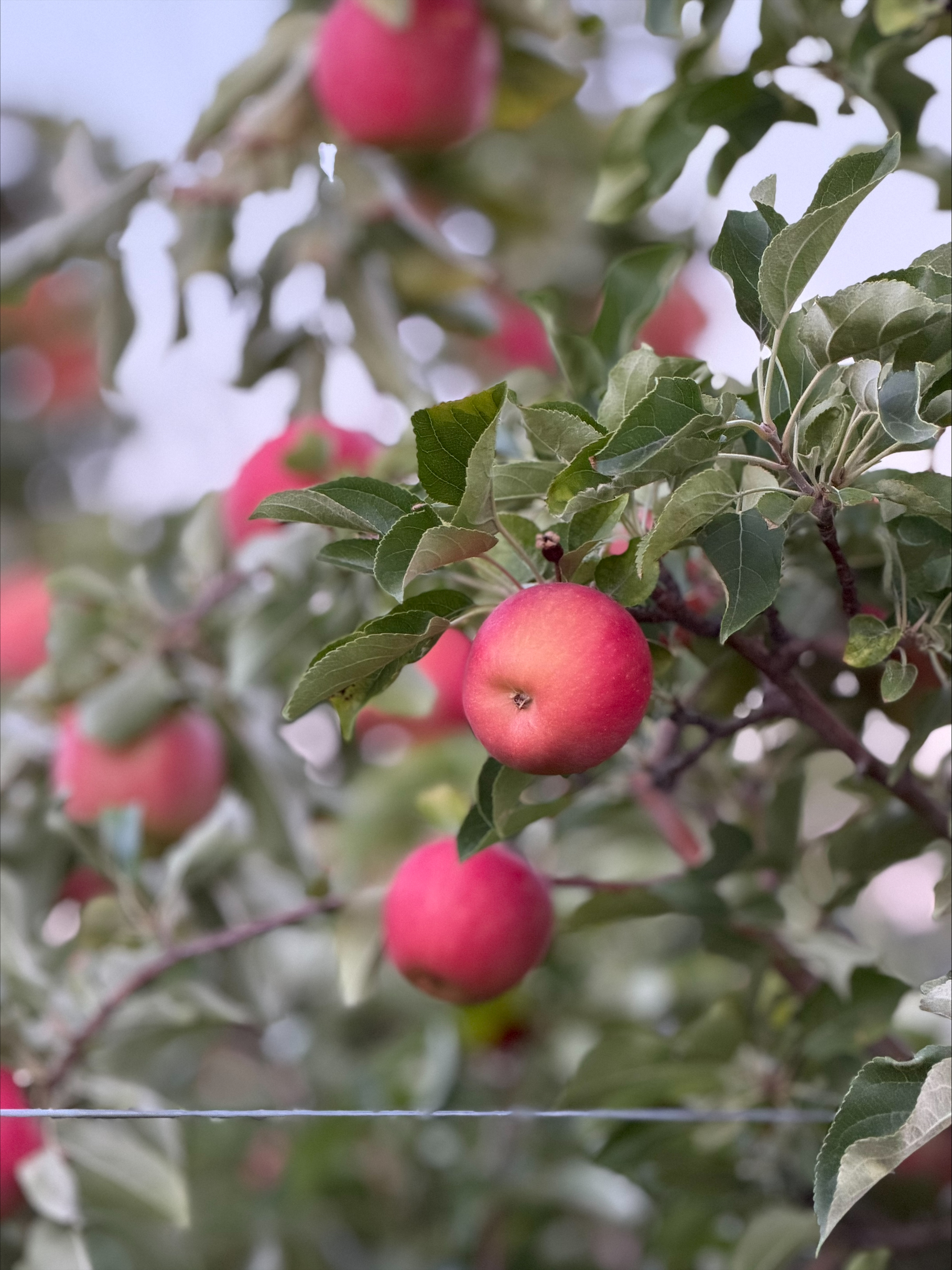 Seasons change header image.