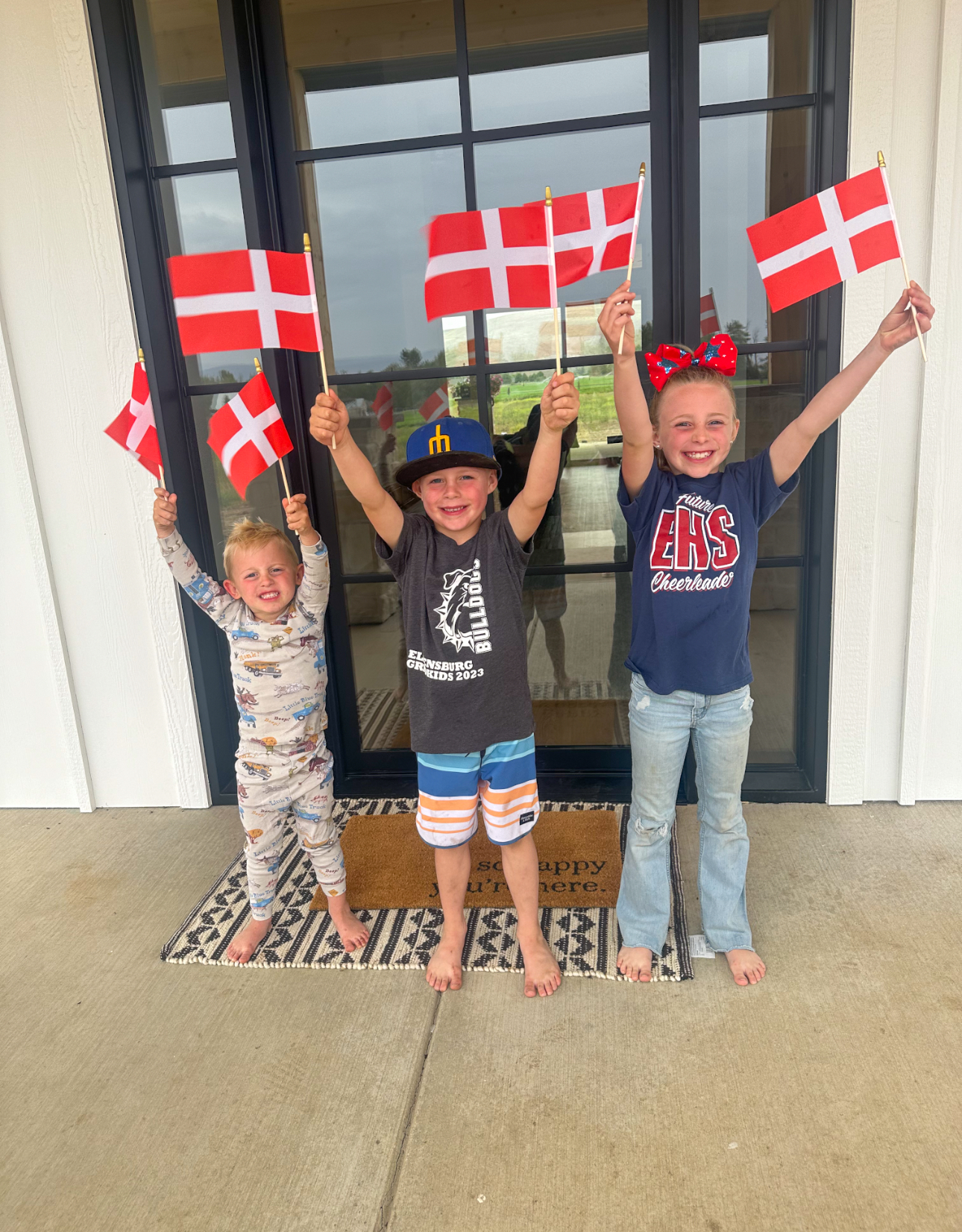 3 kids holding Denmark flags