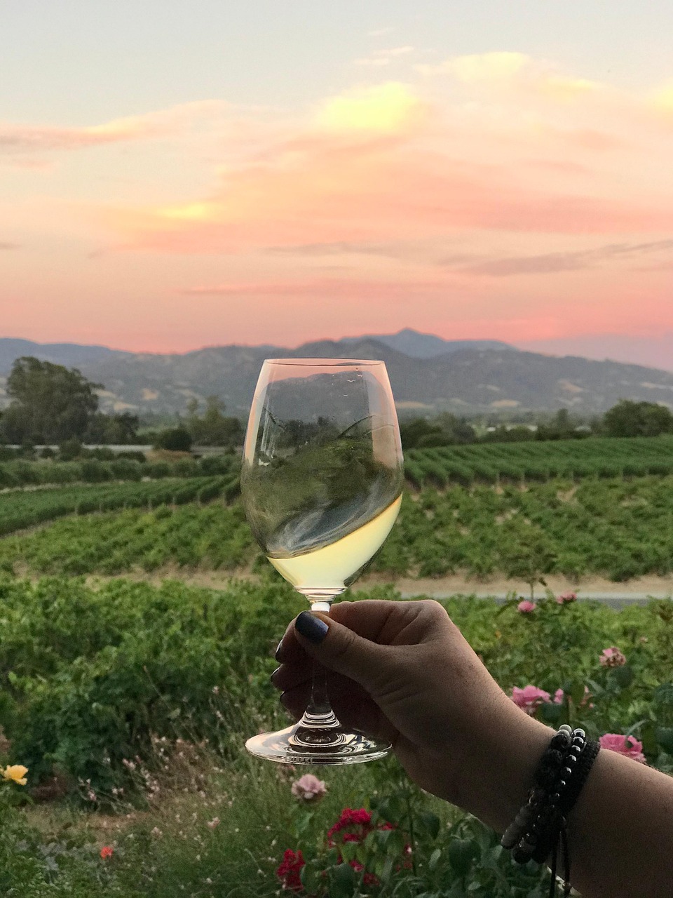 wine glass in front of winery