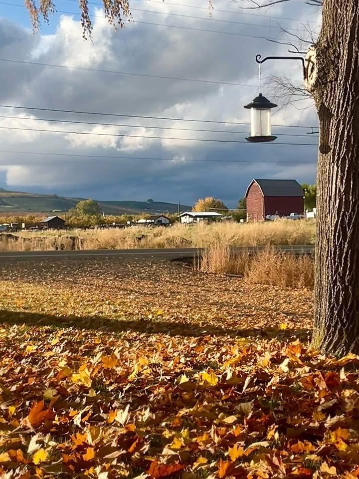 country side
