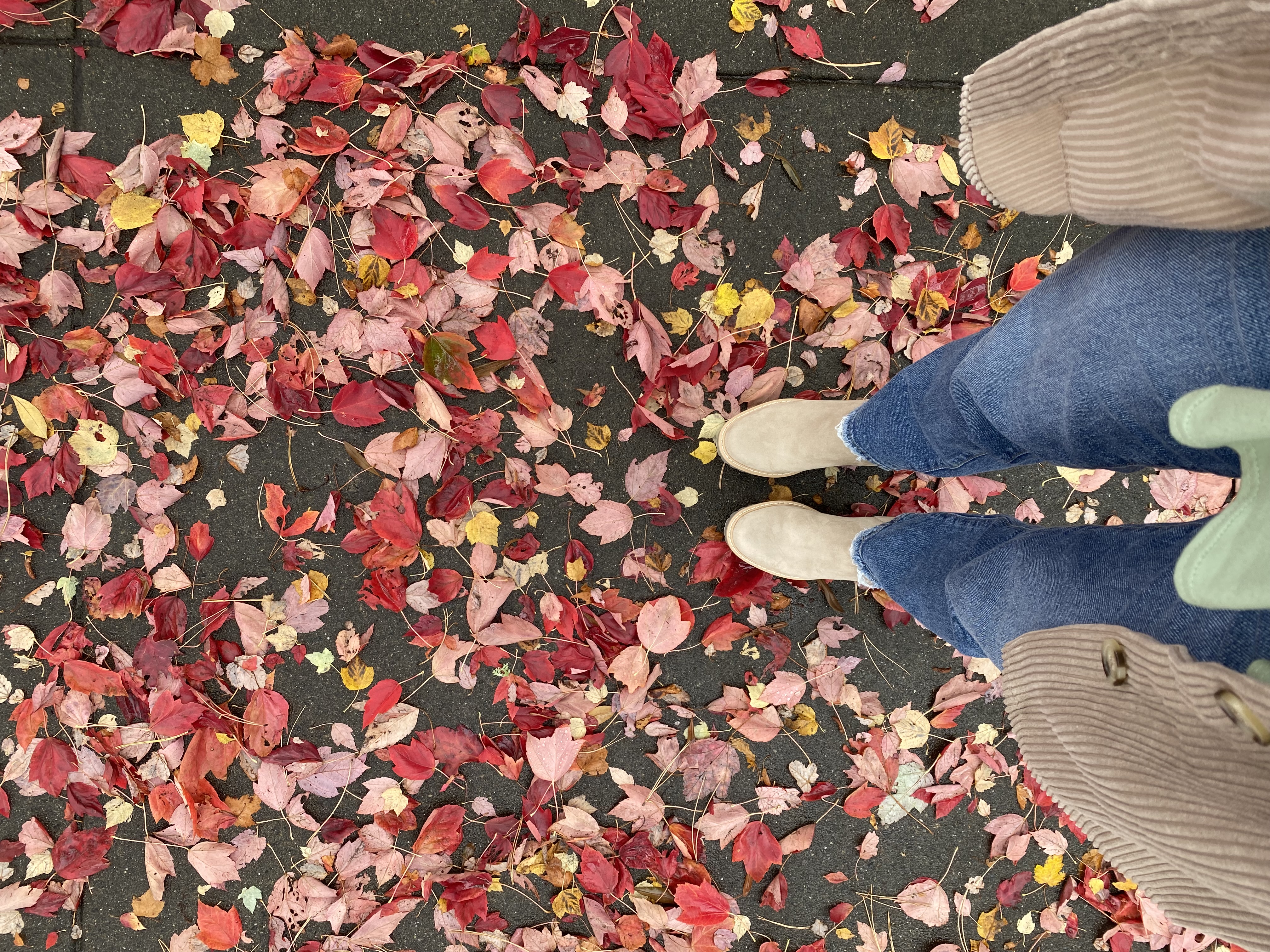 fall leaves and boots